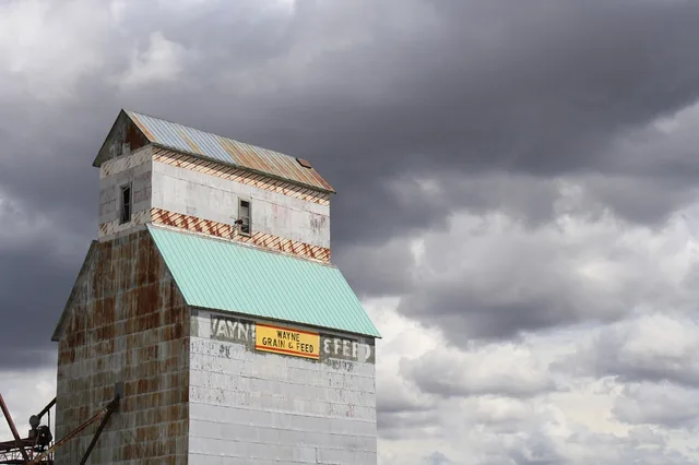 wayne, nebraska, rural, building, rustic, plant, country, clouds, business, nature, grain, feed, agriculture. Should rural business grant help come from a database or a person?