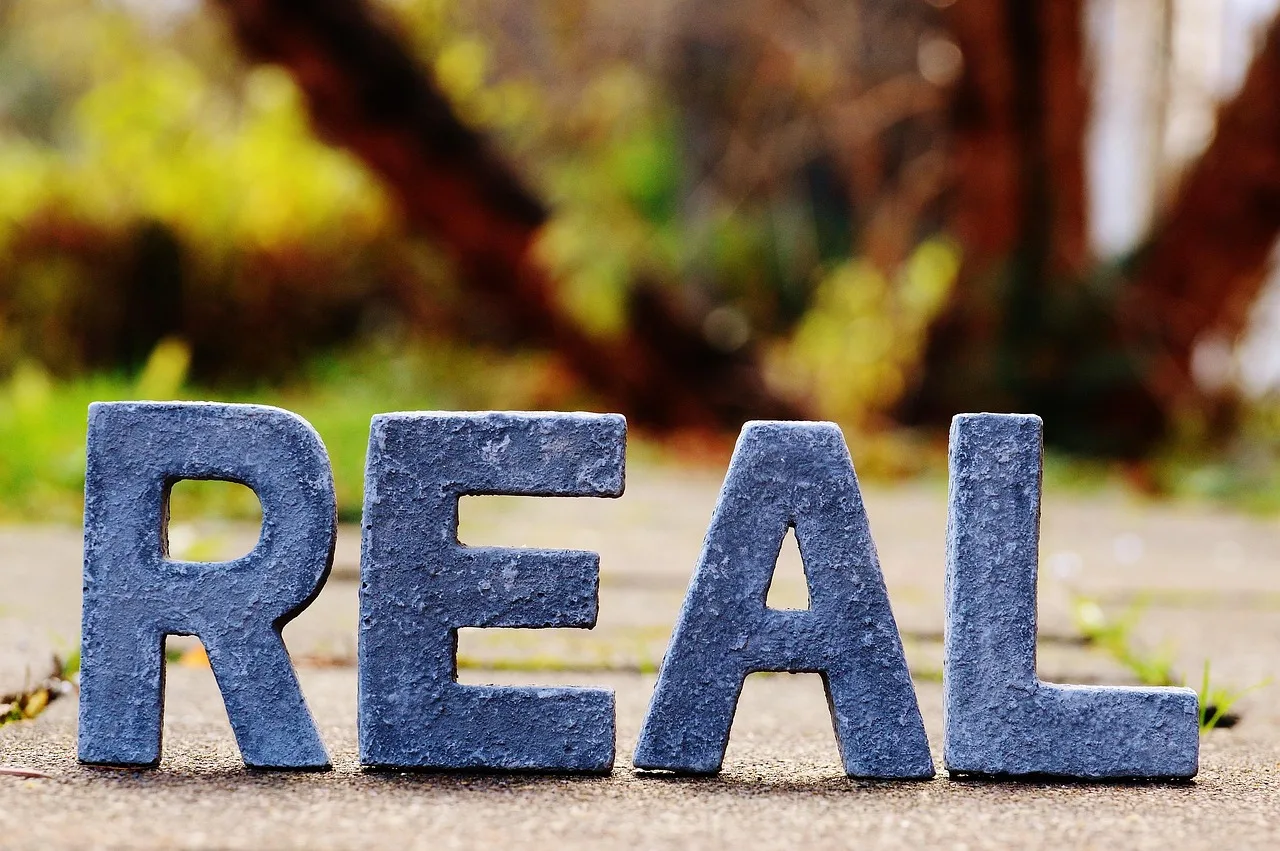 reality, real, really, true, lettering, letters, reality, reality, reality, reality, reality, true, true, true, true. State grant costs against your other funding options, priced honestly